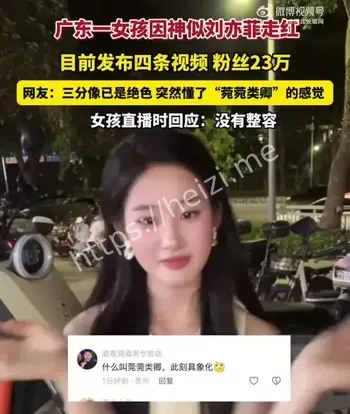 撞脸刘亦菲网红