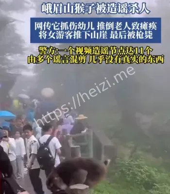 警方辟谣峨眉山猴子被击毙