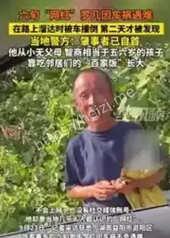 湖南益阳网红罗几车祸细节